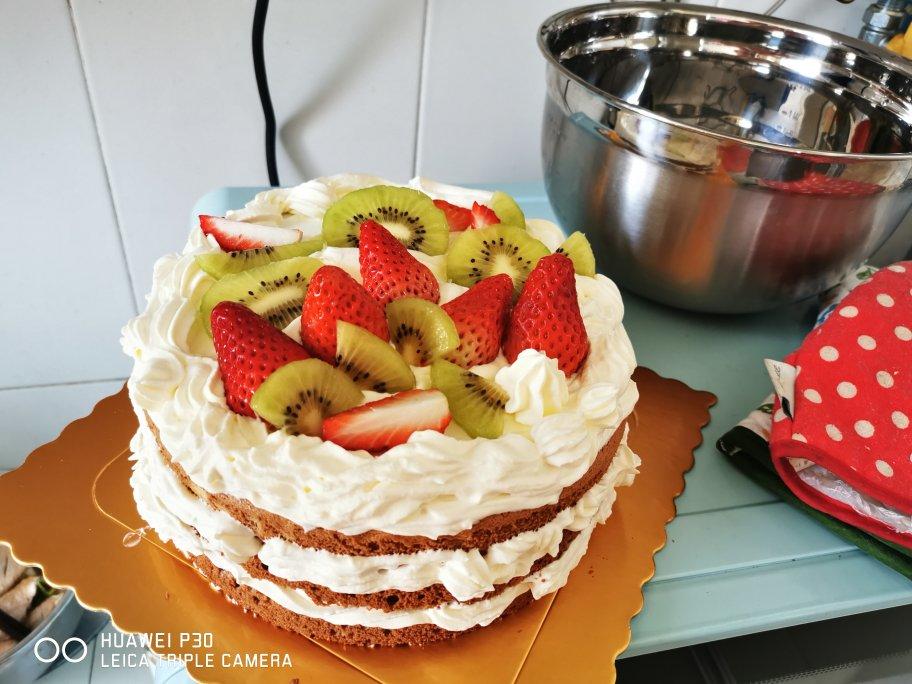 可可戚风水果裸蛋糕