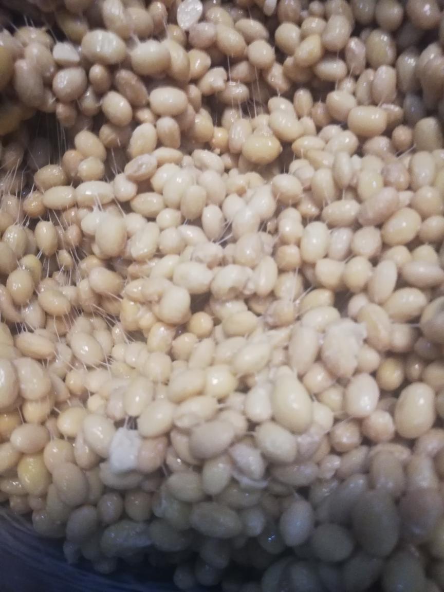 2024元旦纳豆高压锅法