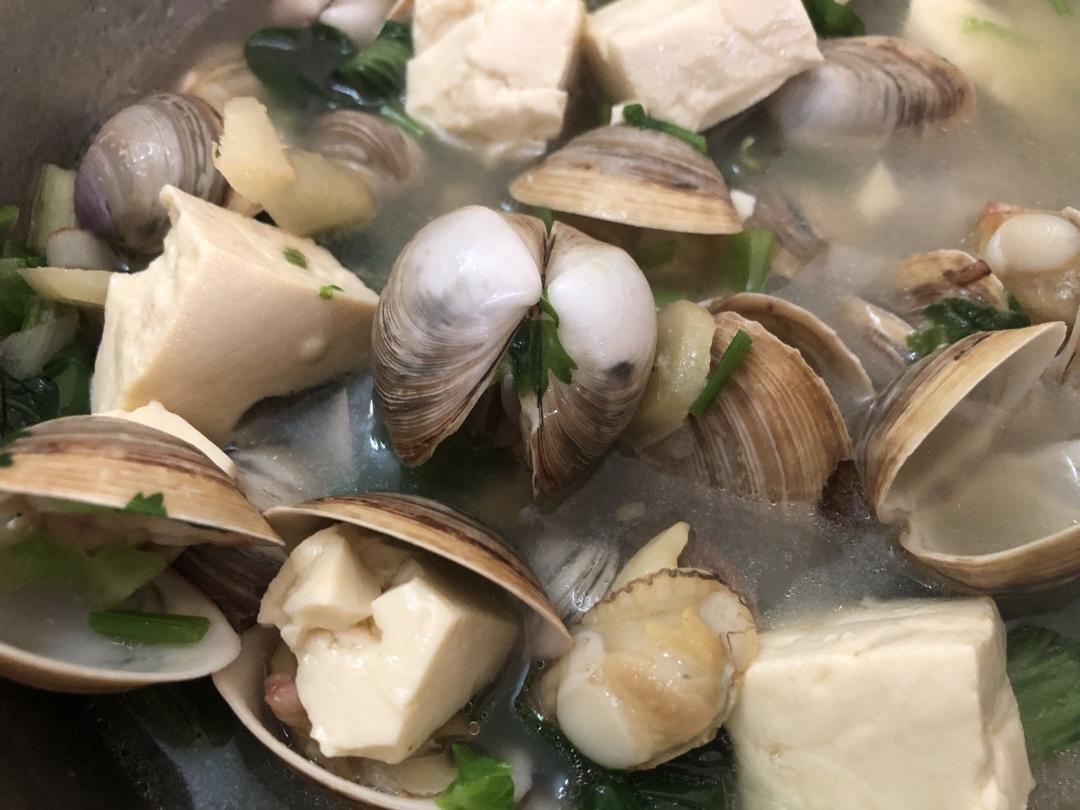超级鲜美的白蛤豆腐汤