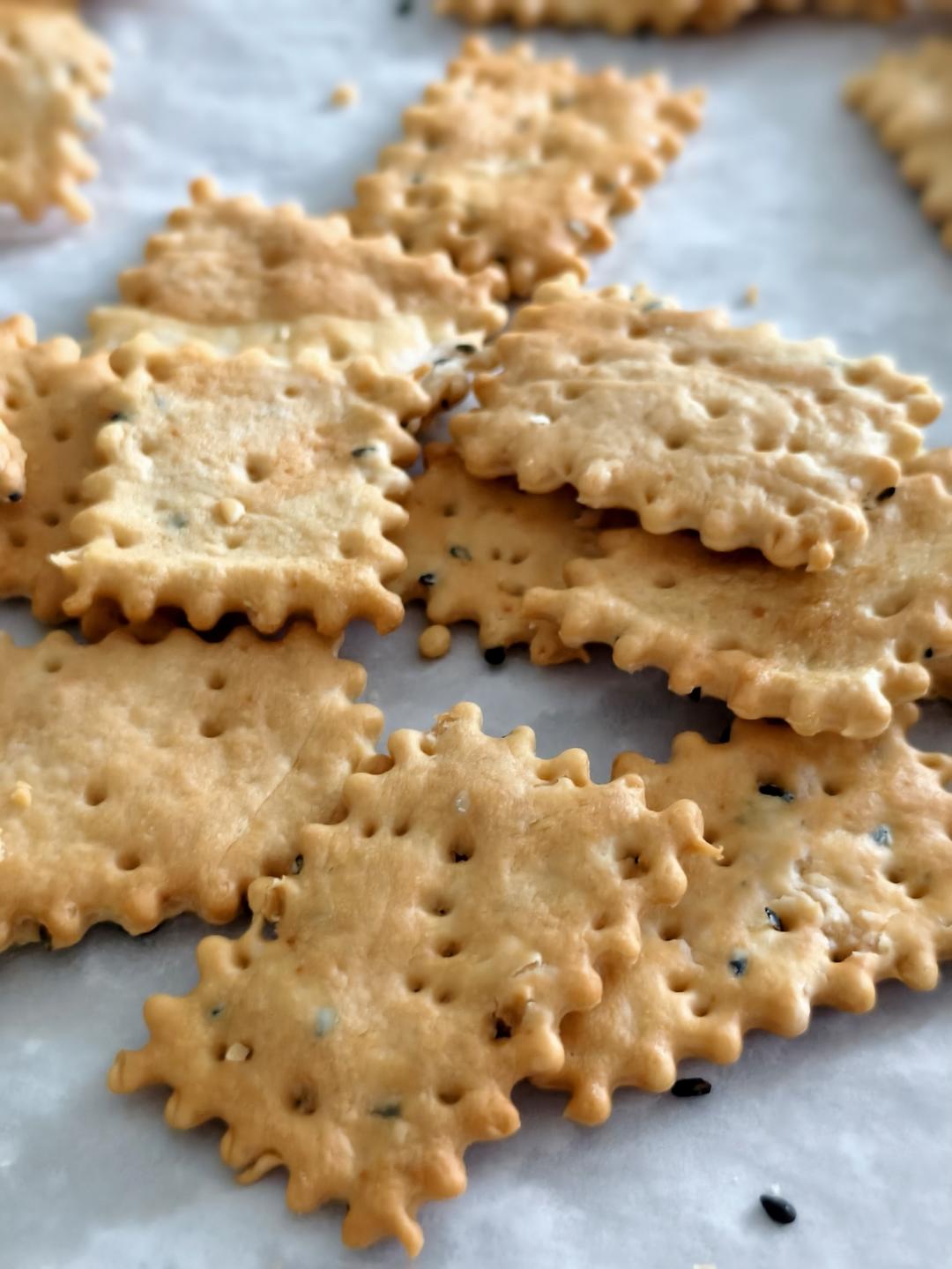 全麦无糖苏打饼干（梳打饼干）210413