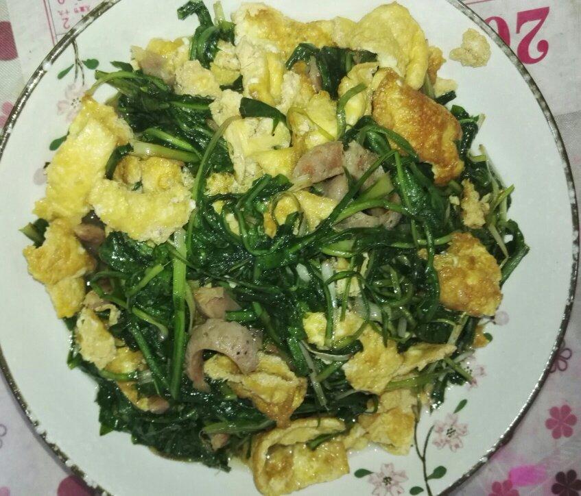 蒲公英菜炒鸡蛋