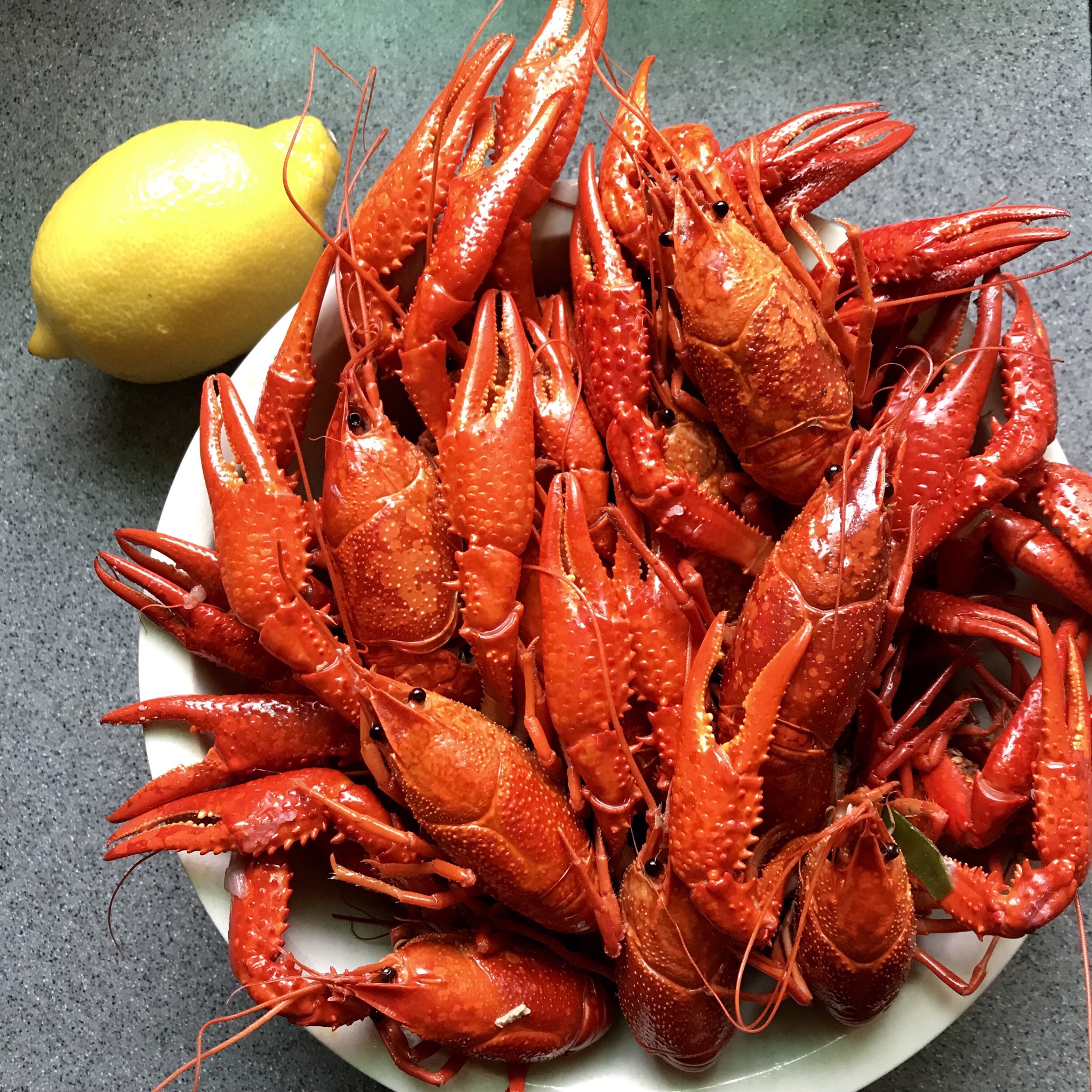 清新版小龙虾—柠香蒸虾的做法