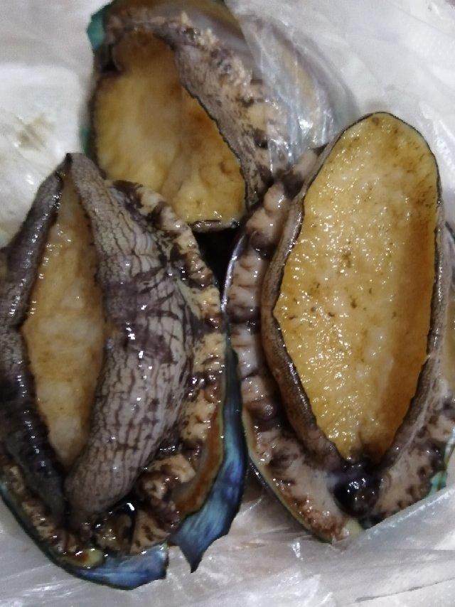 红烧鲍鱼