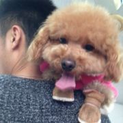 小毛豆的咩咩姐