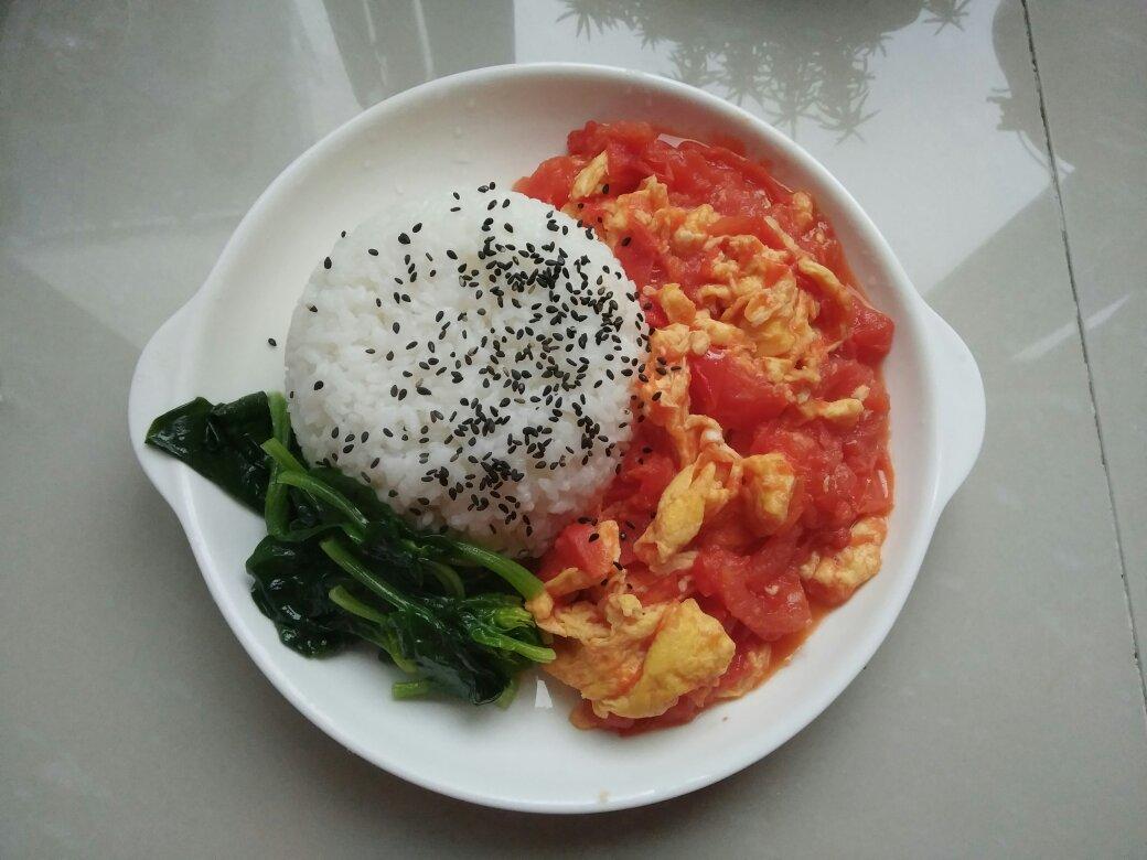 西红柿炒蛋盖饭
