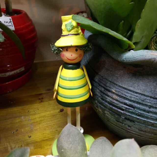 淡淡秋心