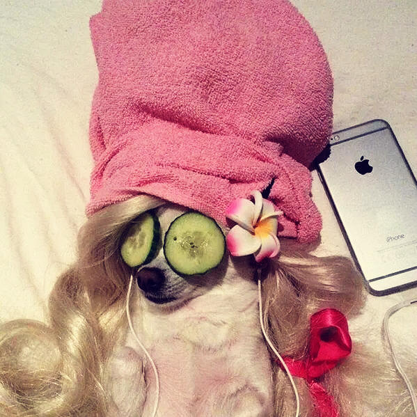 辣椒这玩意辣两头啊