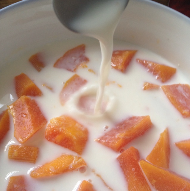 郑闪闪做的木瓜炖牛奶