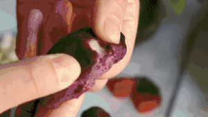 紫薯奶酪棒的做法 步骤16