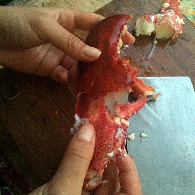 酥脆芝士焗龙虾的做法 步骤4