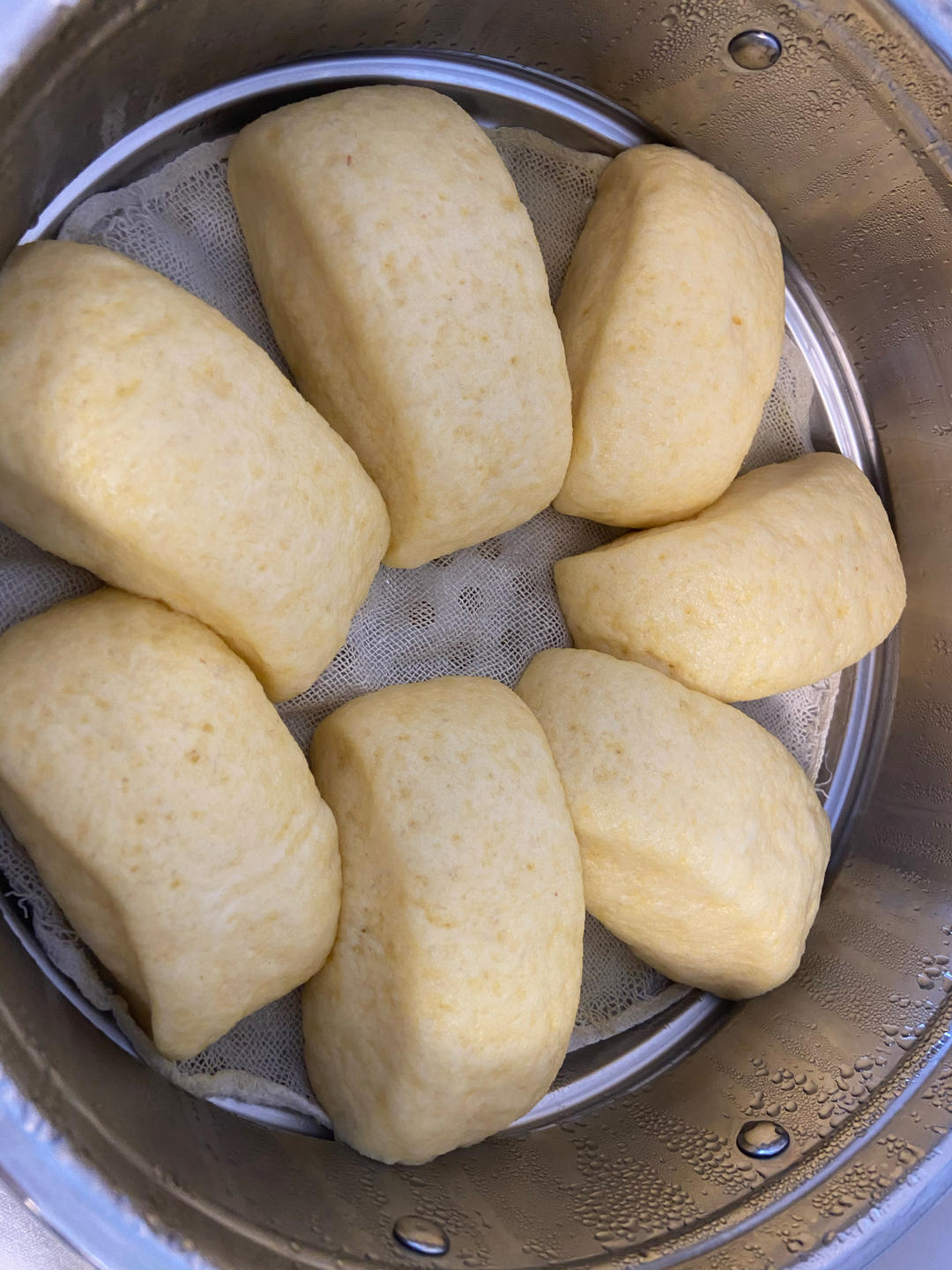 奶香玉米面馒头（一次发酵）