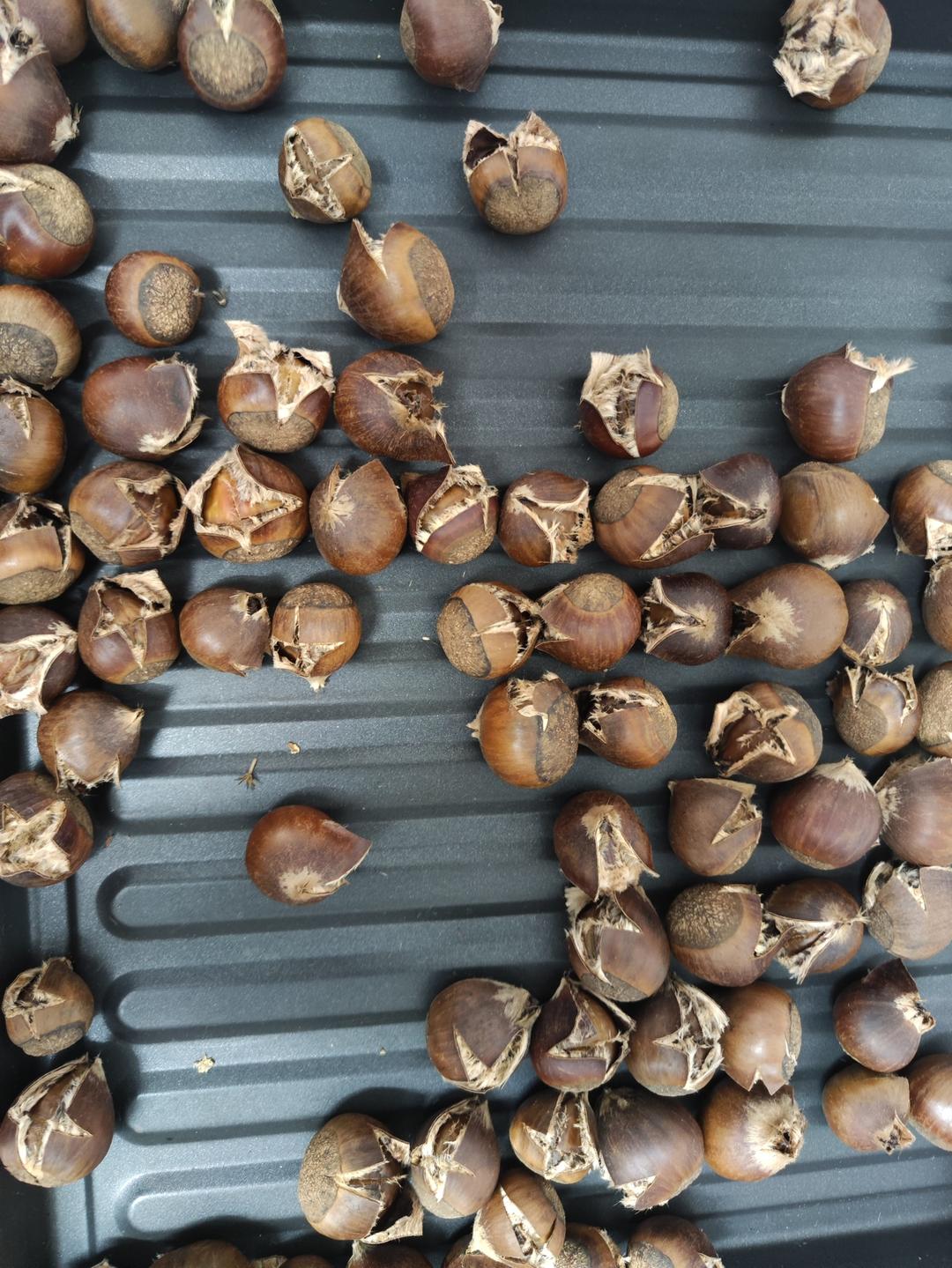 烤箱版栗子
