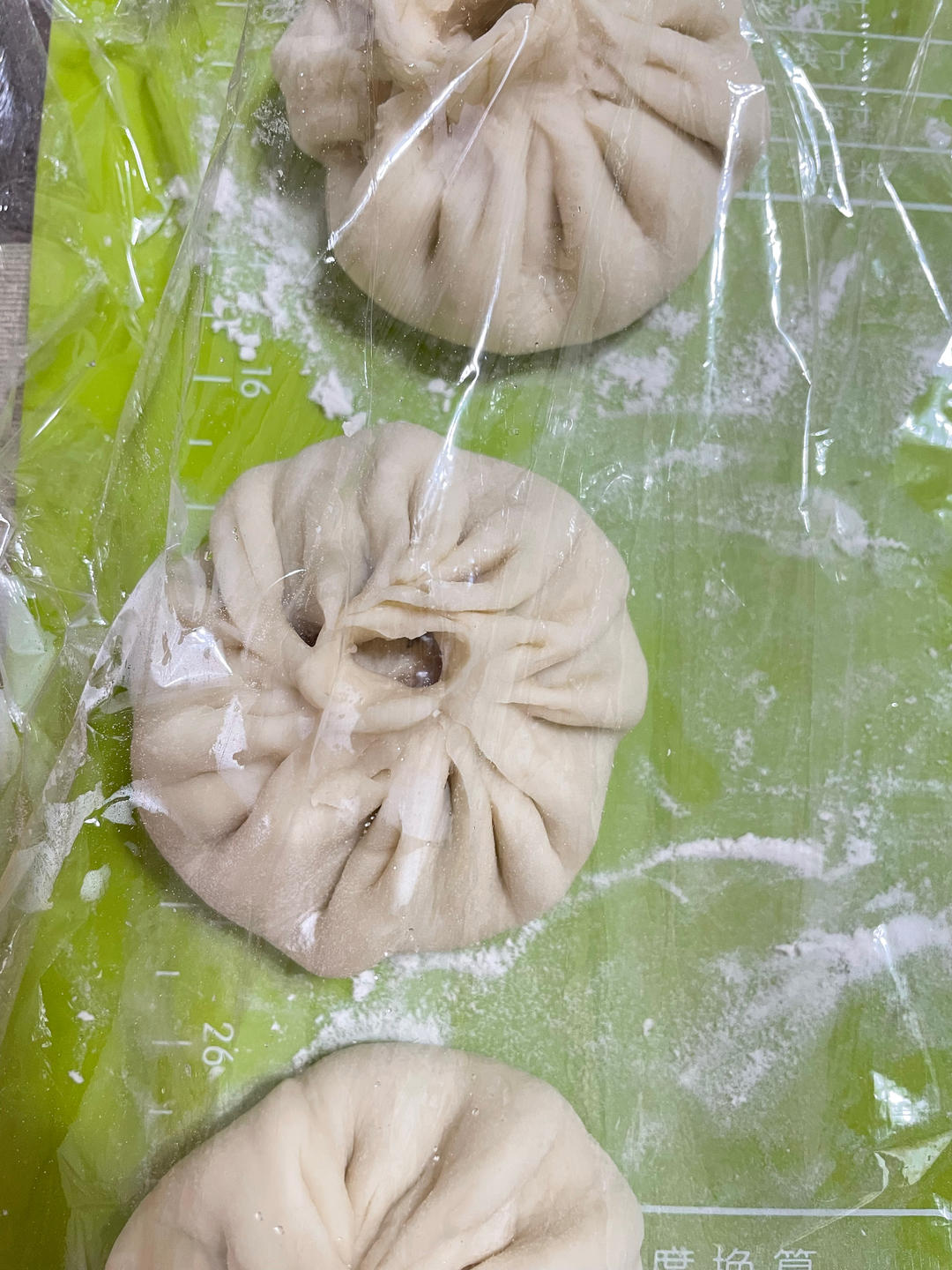 肉包子馅 包子馅 饺子馅 多汁（附带饺子皮）