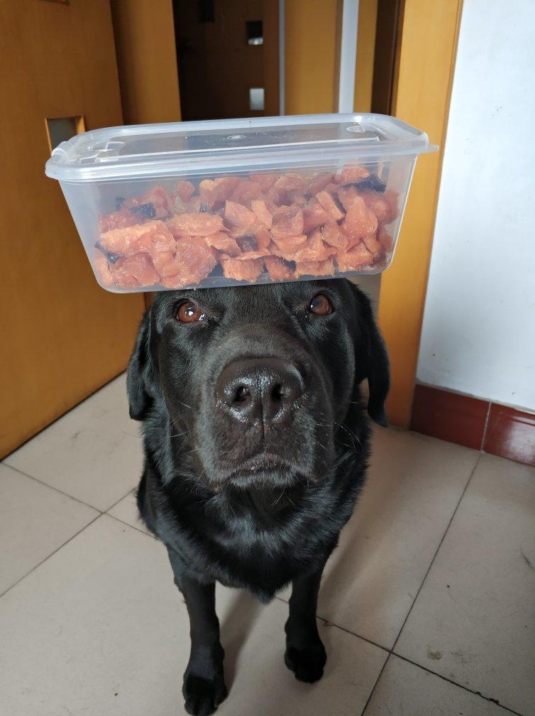 狗狗奖励零食-----烤三文鱼皮