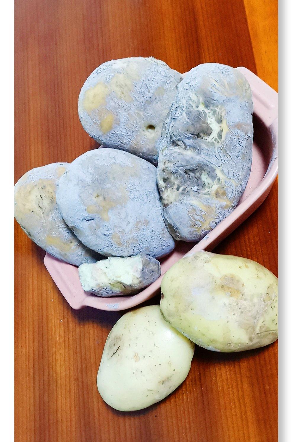 《Tinrry+》仿真土豆面包