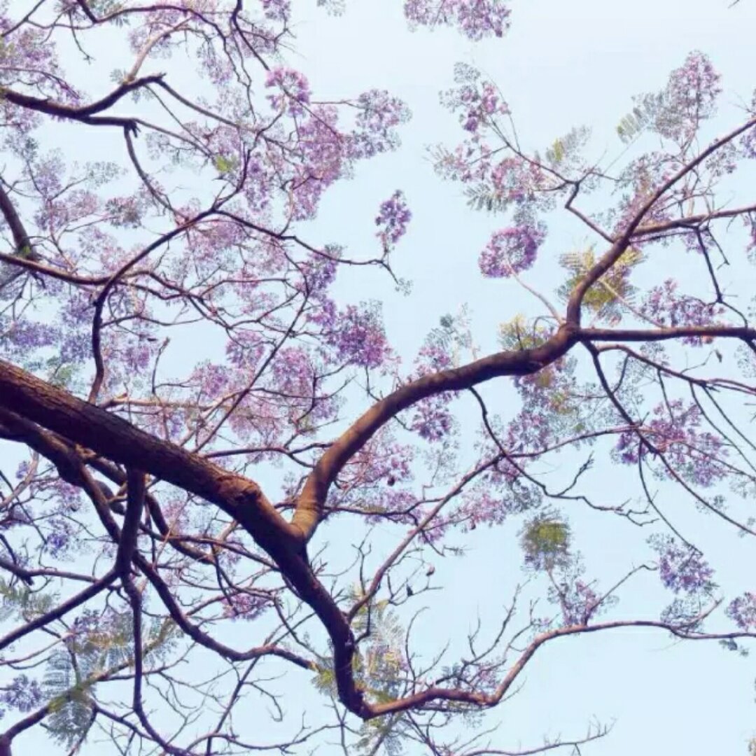 老丁的私房菜-油焖茄子