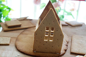 姜饼屋，每年圣诞都要盖一座房子的做法 步骤10