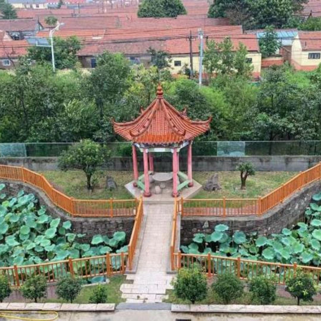 私厨小小小白