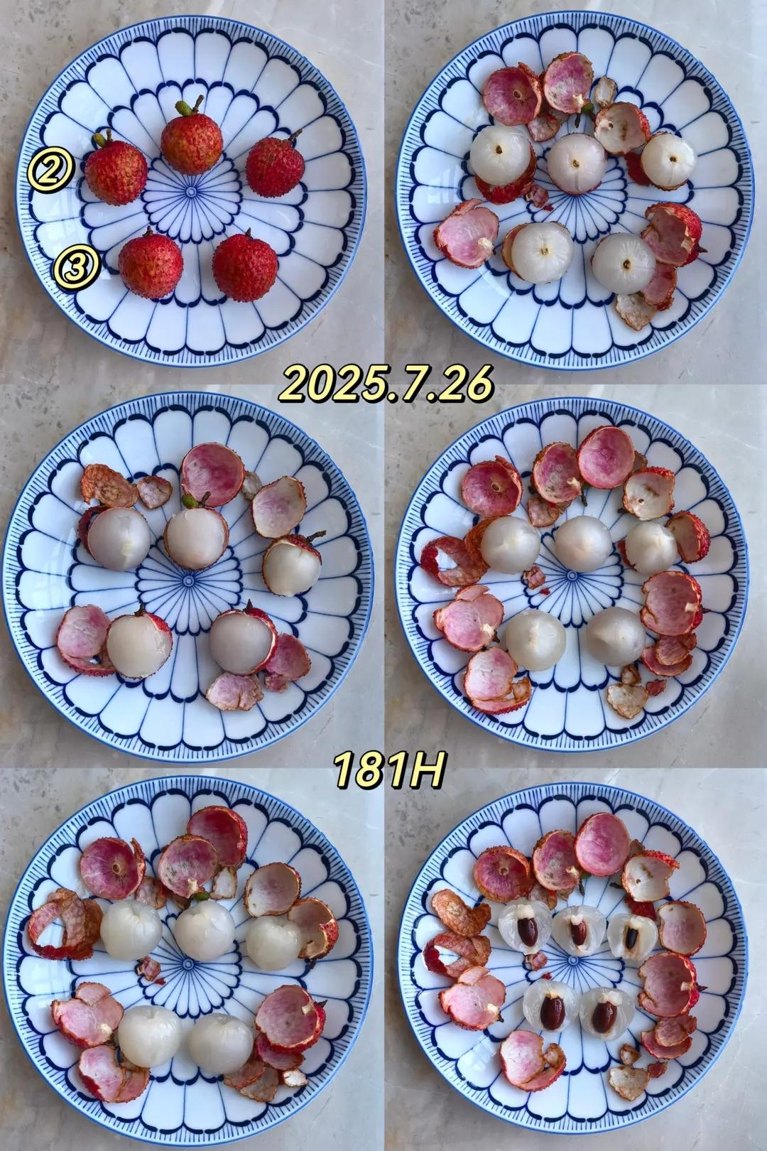 荔枝保鲜对比
