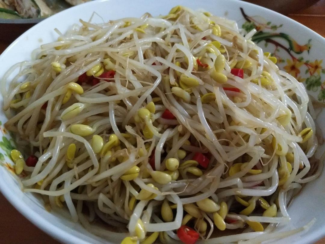 凉拌黄豆芽