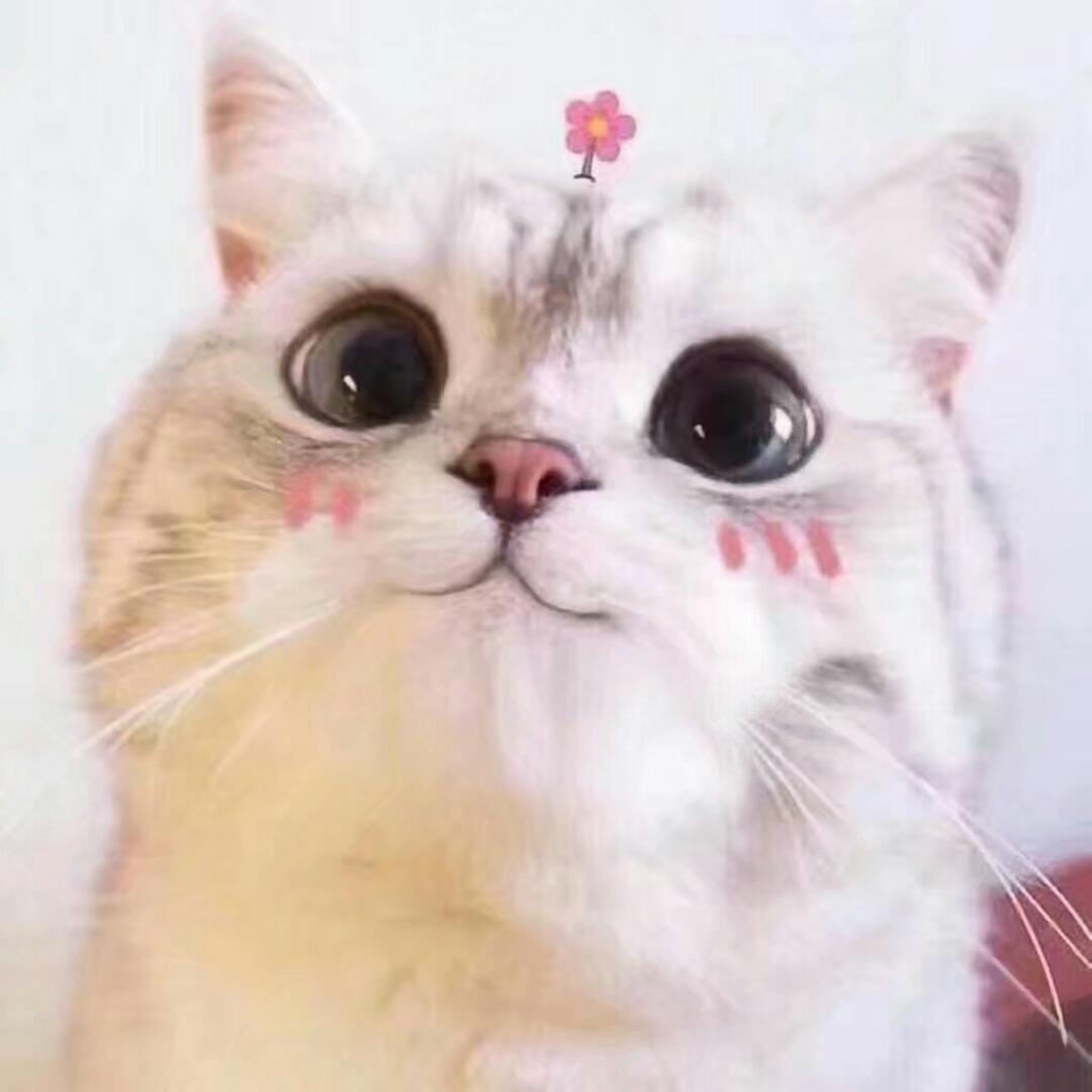 鱼泡泡7
