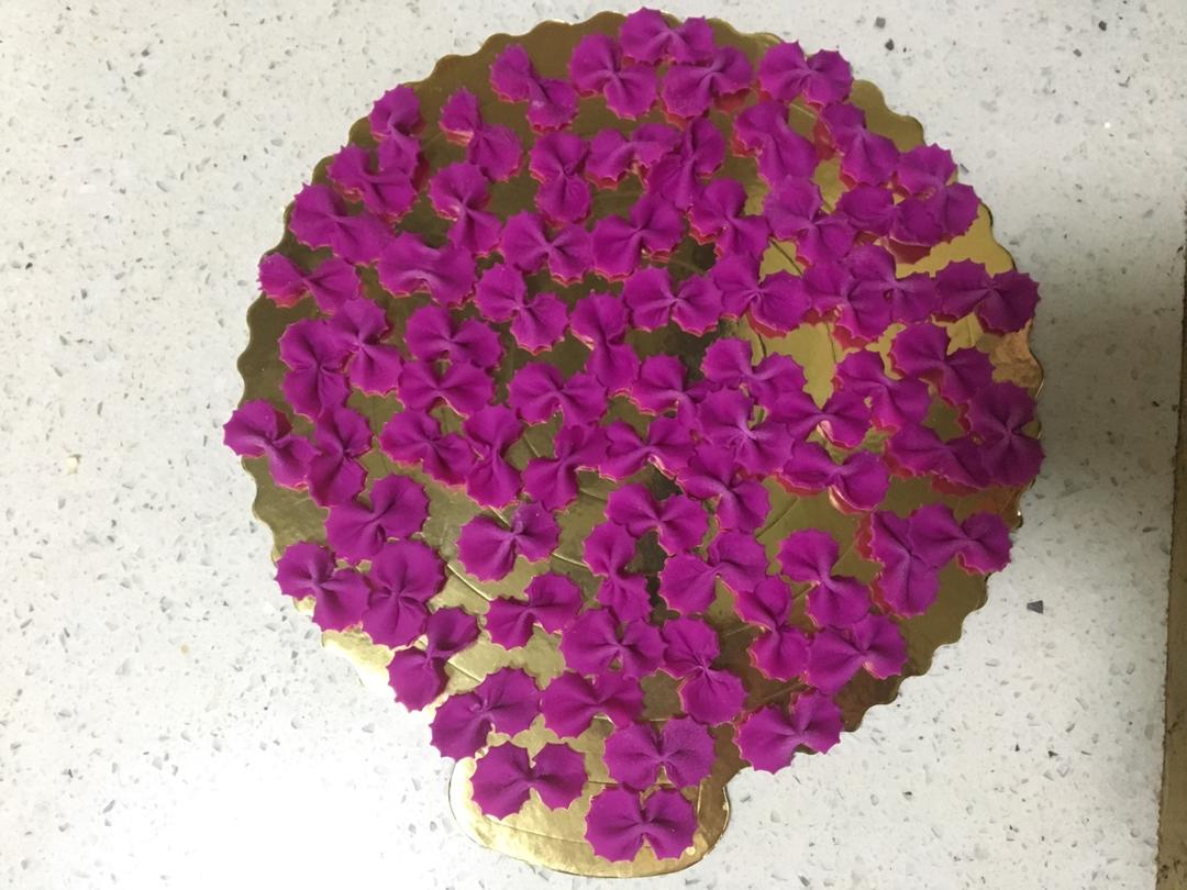 手工果蔬蝴蝶面/花式面片