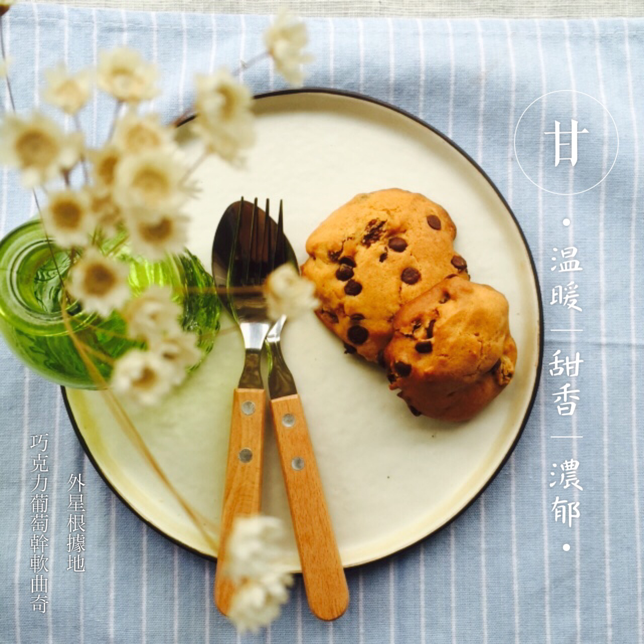 素食版葡萄巧克力软曲奇