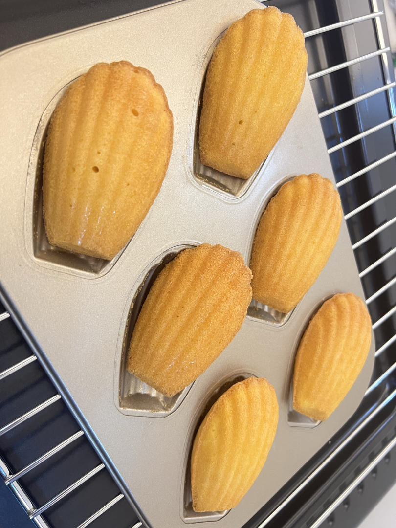 经典原味玛德琳蛋糕