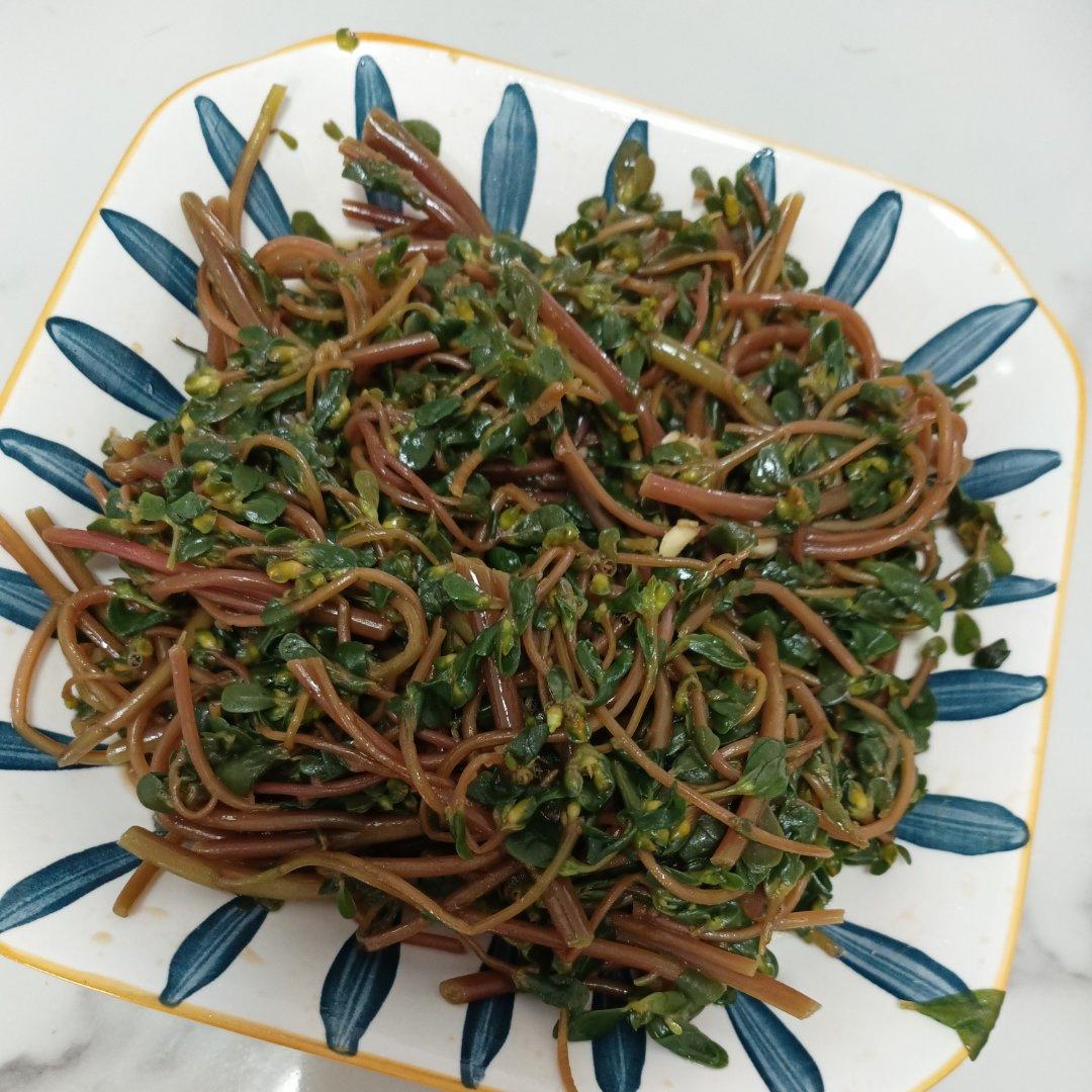 凉拌马马菜（凉拌马齿苋）