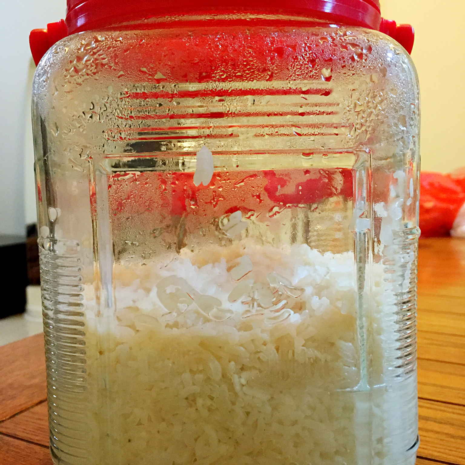 甜酒酿（秘诀版）