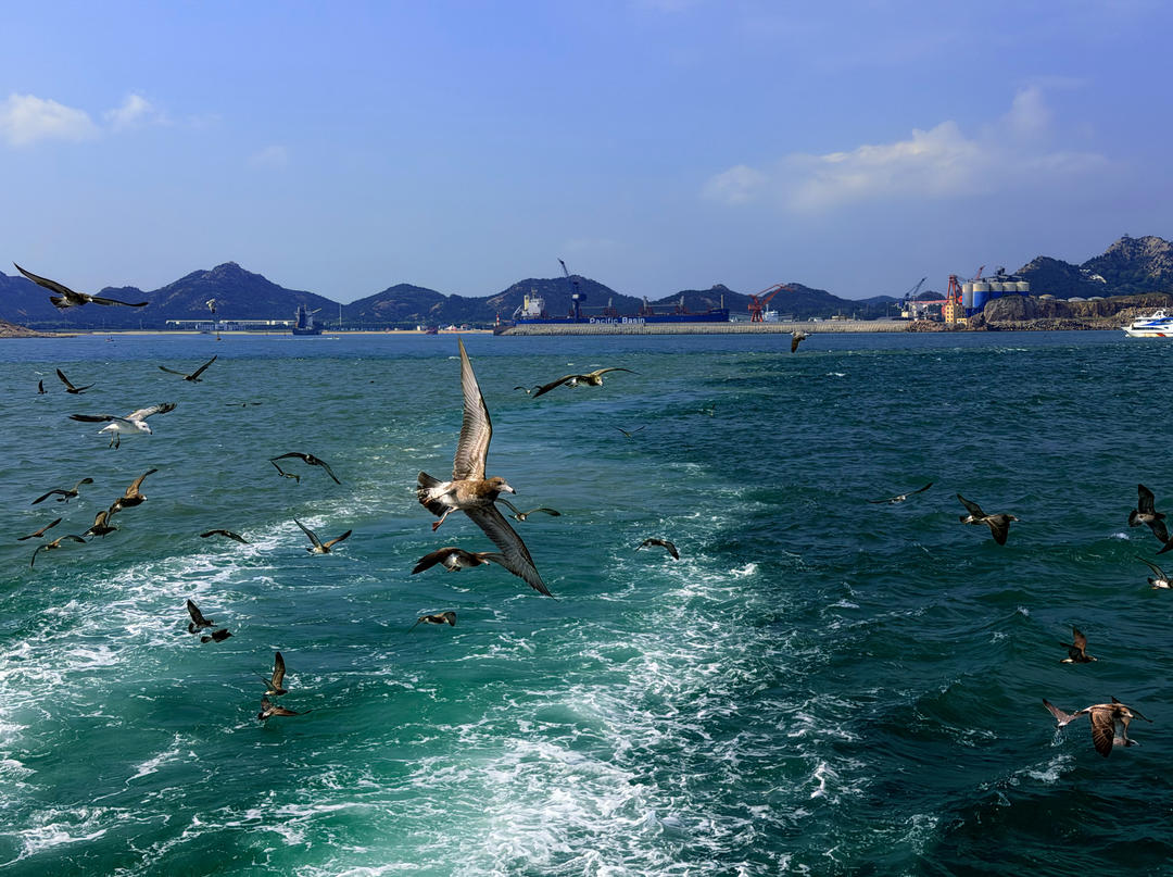 醒醒喂醒醒