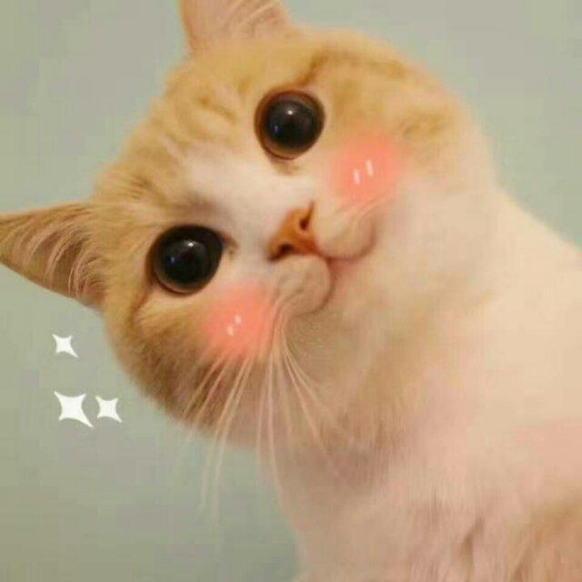 七七的味道