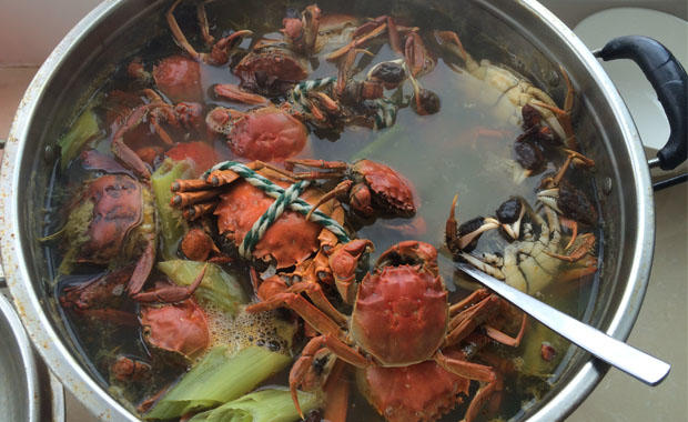 水煮盘锦河蟹或者大闸蟹的做法