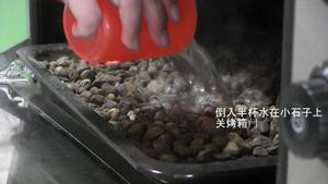 【面包食验】迷你夏巴塔/拖鞋面包 Mini Ciabatta的做法 步骤7