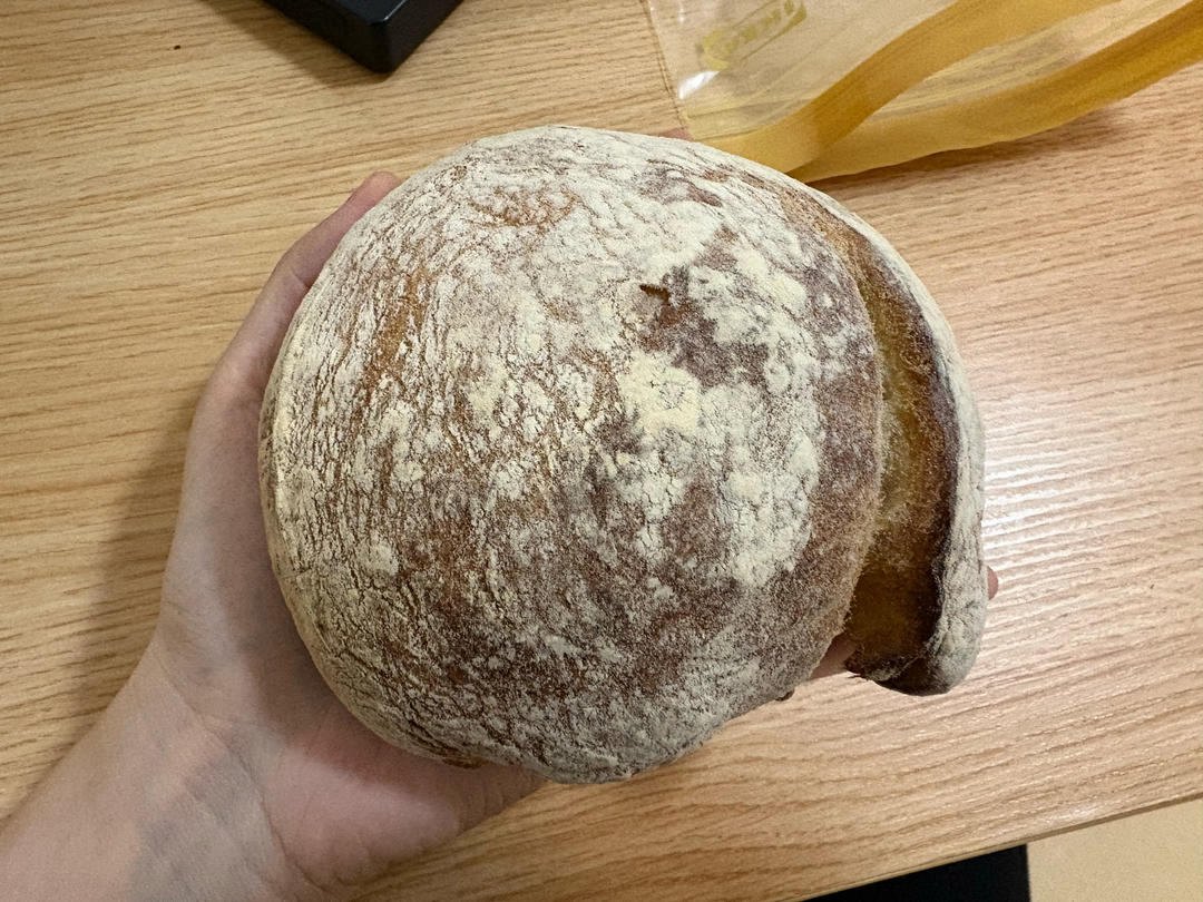 恰巴塔面包  Ciabatta