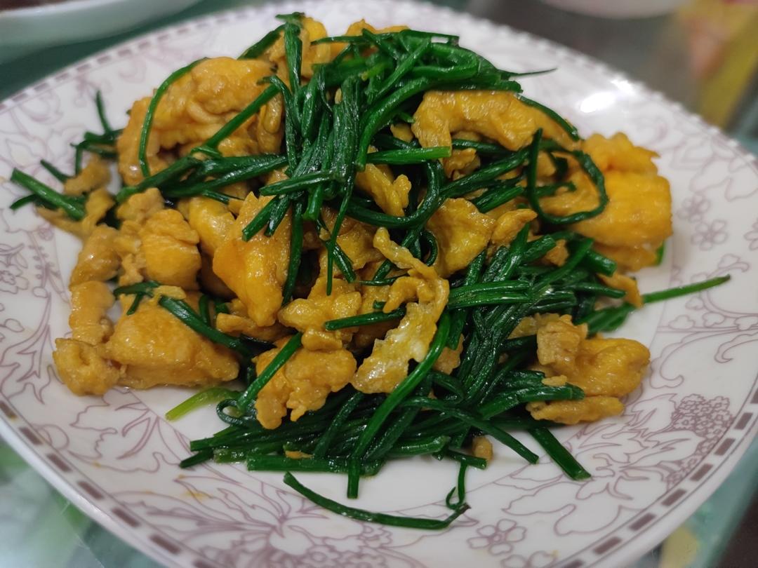 我炒了一盘世上最昂贵的葱：沙葱炒鸡蛋