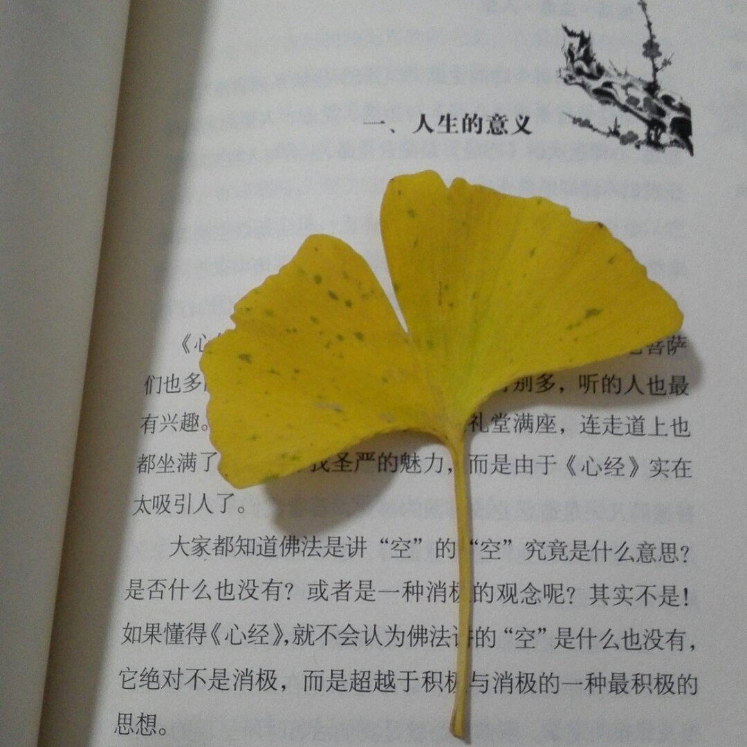 KK冯