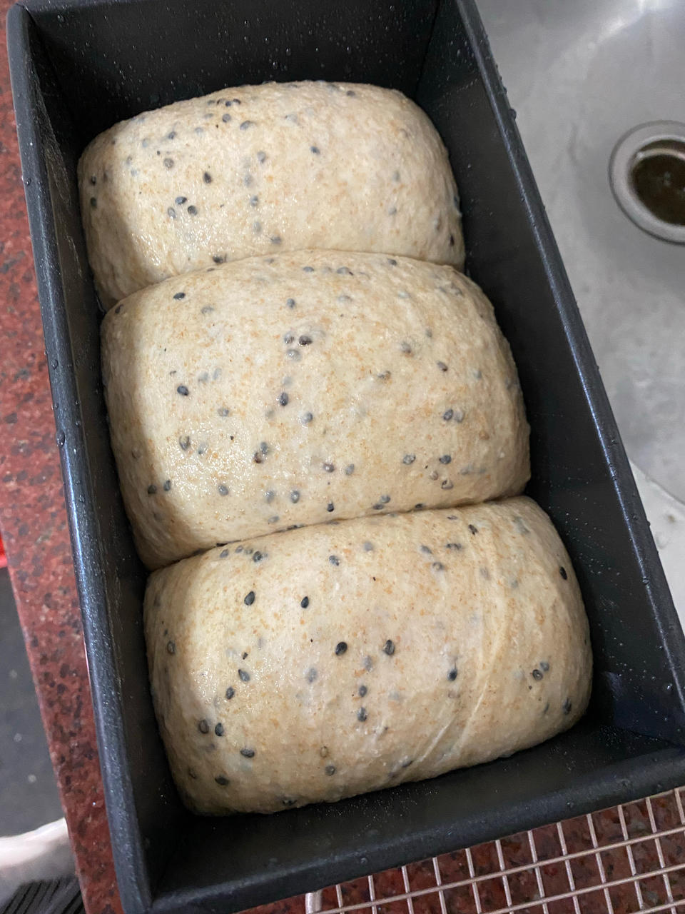 减脂｜无糖全麦吐司🍞，无糖全麦也能长得高