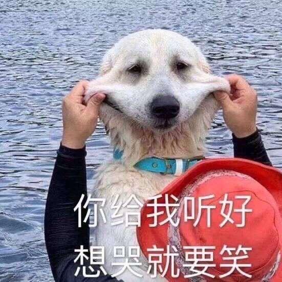 草丛中的coriander