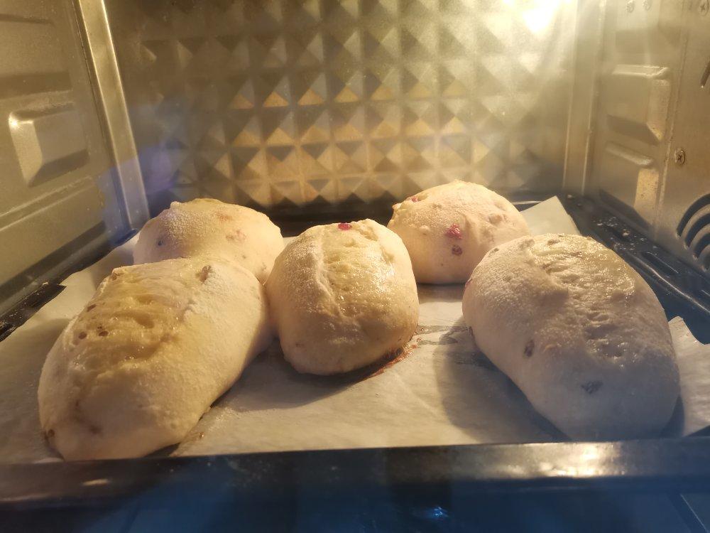 免揉基础小欧包 No knead basic bread