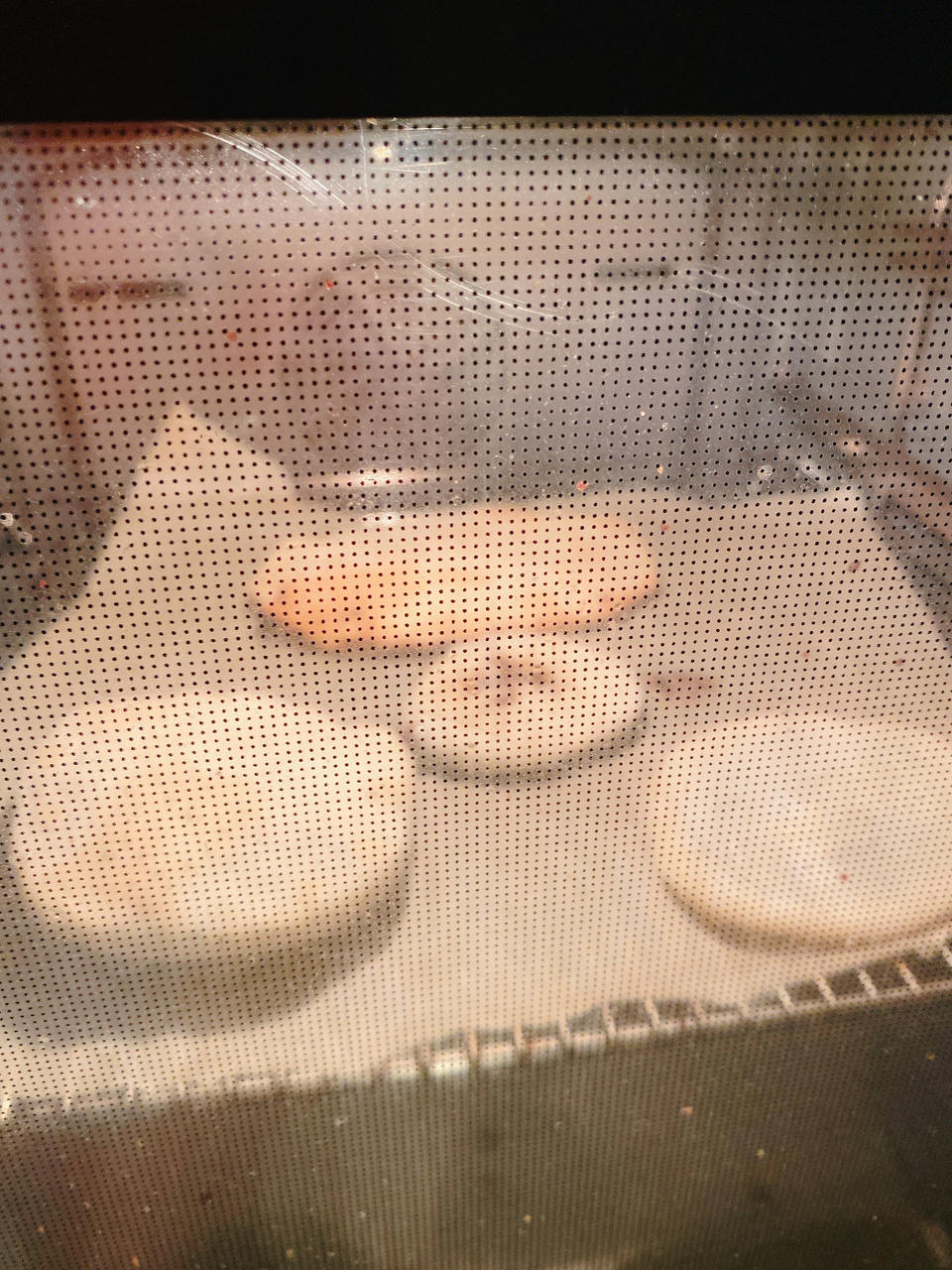 烤箱版梅干菜烧饼