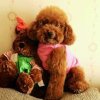 .A-qian