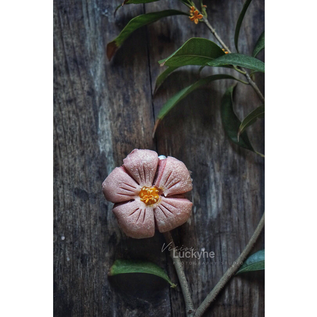 🔥经典宫廷 桃花酥㊙️