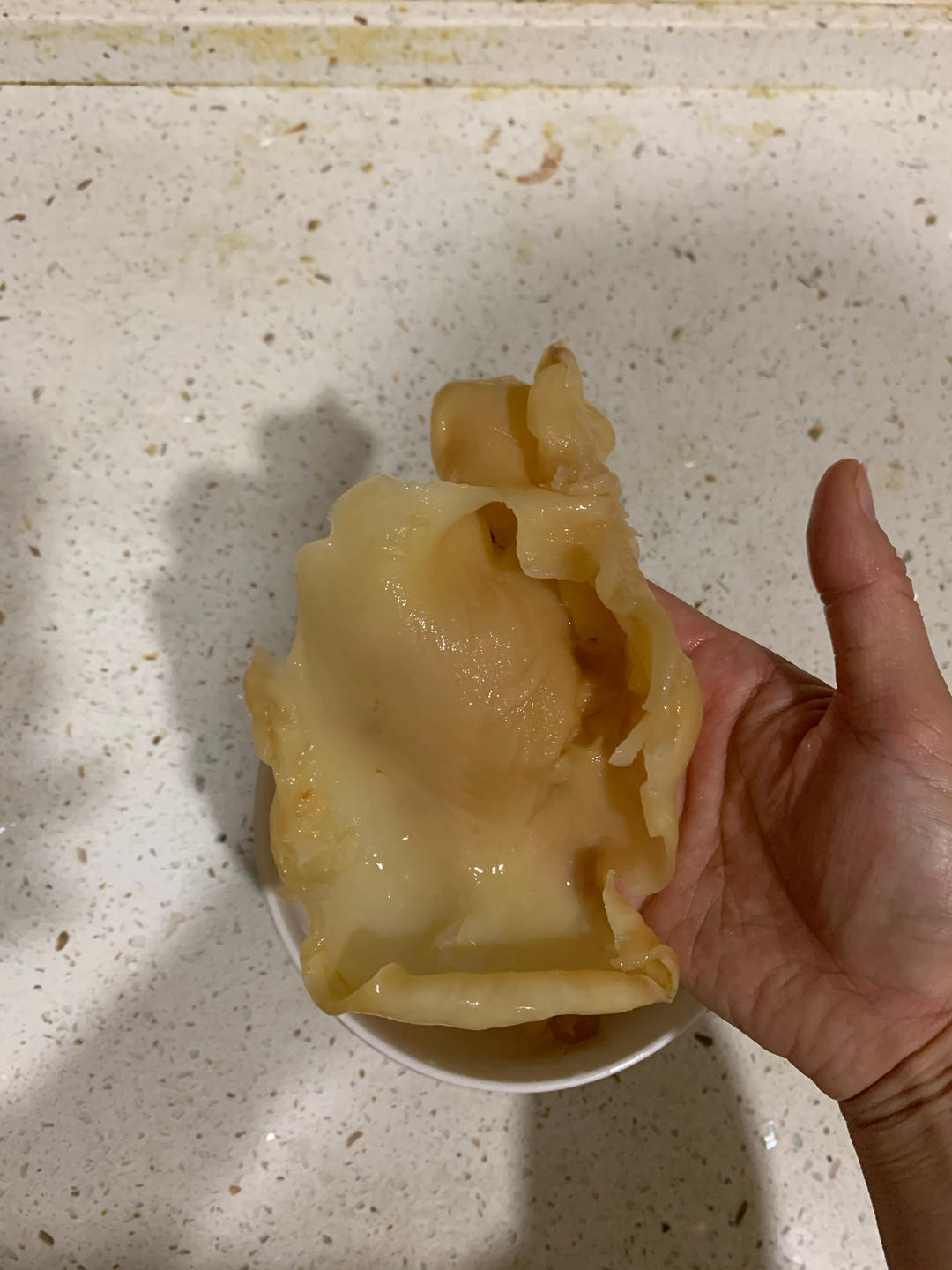 最全最易上手的鱼胶泡发方法
