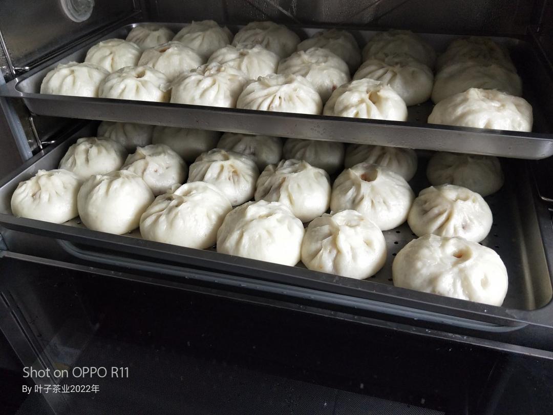 万能包子皮（超简单）