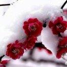 小珍美味私家菜