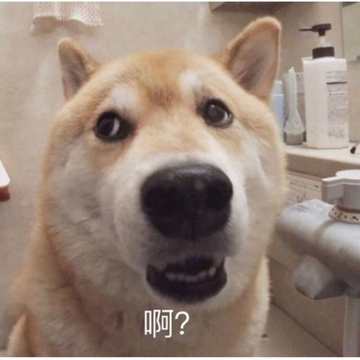 不喜欢厨房的吃货