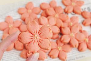 ♨️酥香味美🌸春之樱花曲奇，无需模具也能做的做法 步骤12