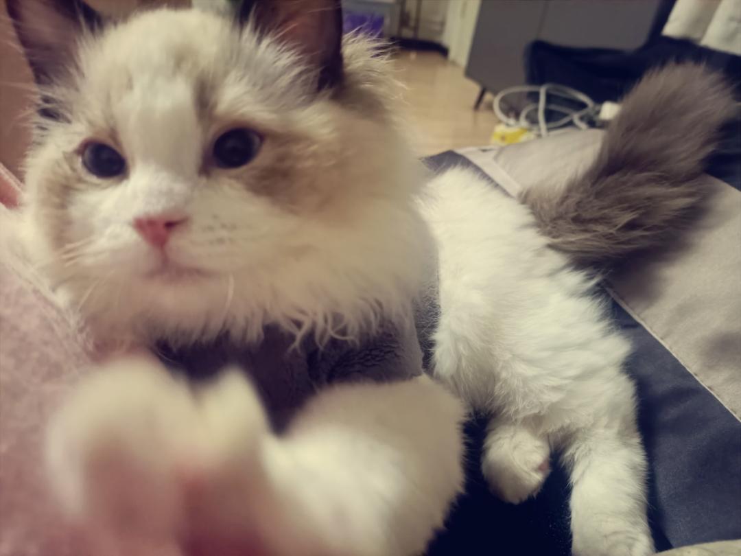 下厨房用户_7icha