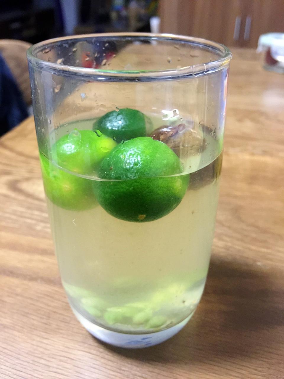 莫娜特做的夏日饮品桔子冰